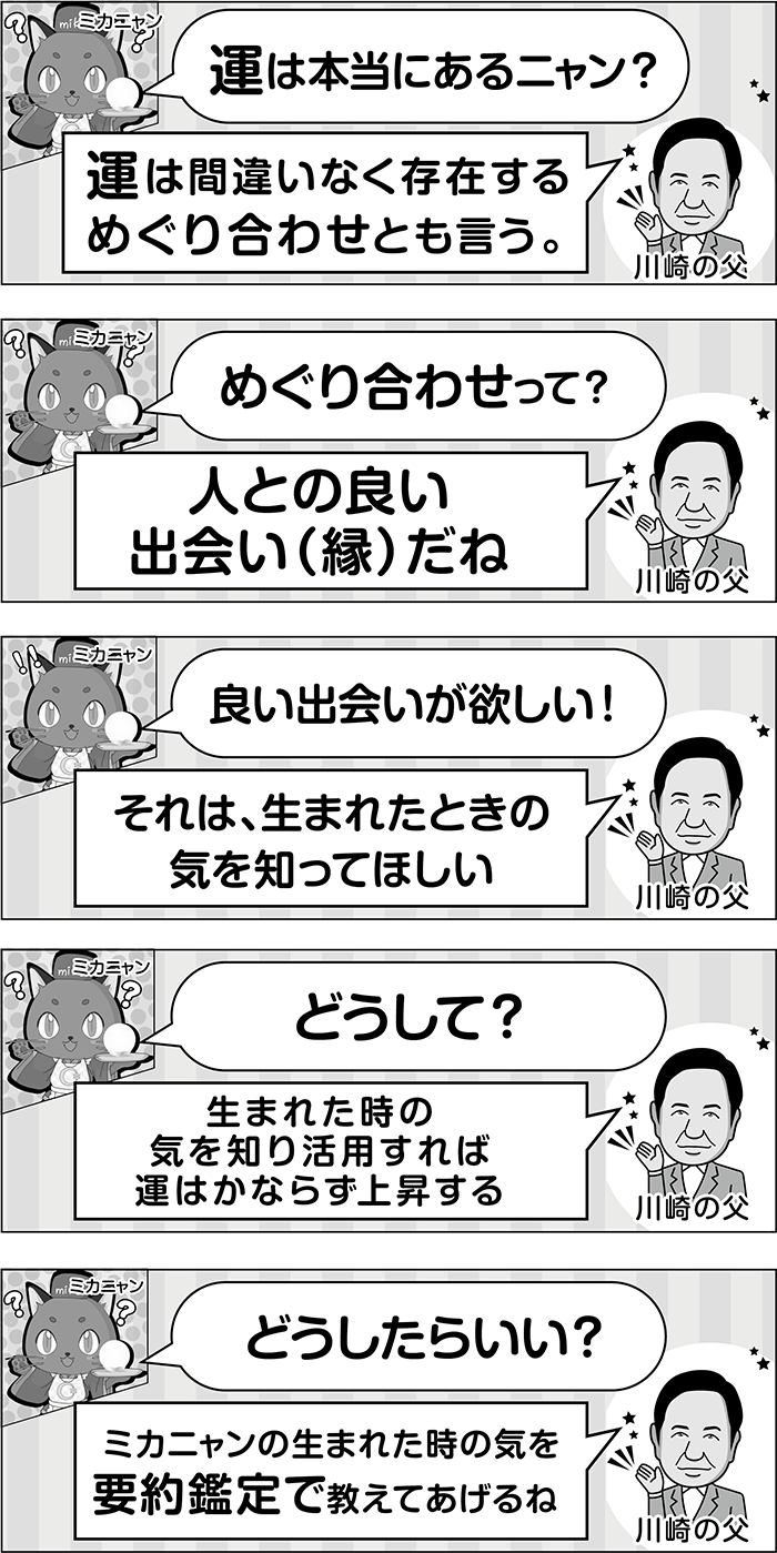 【要約鑑定について】